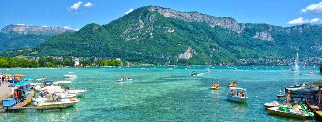 Appartement Atypique Au Coeur Des Alpes Barraux ภายนอก รูปภาพ